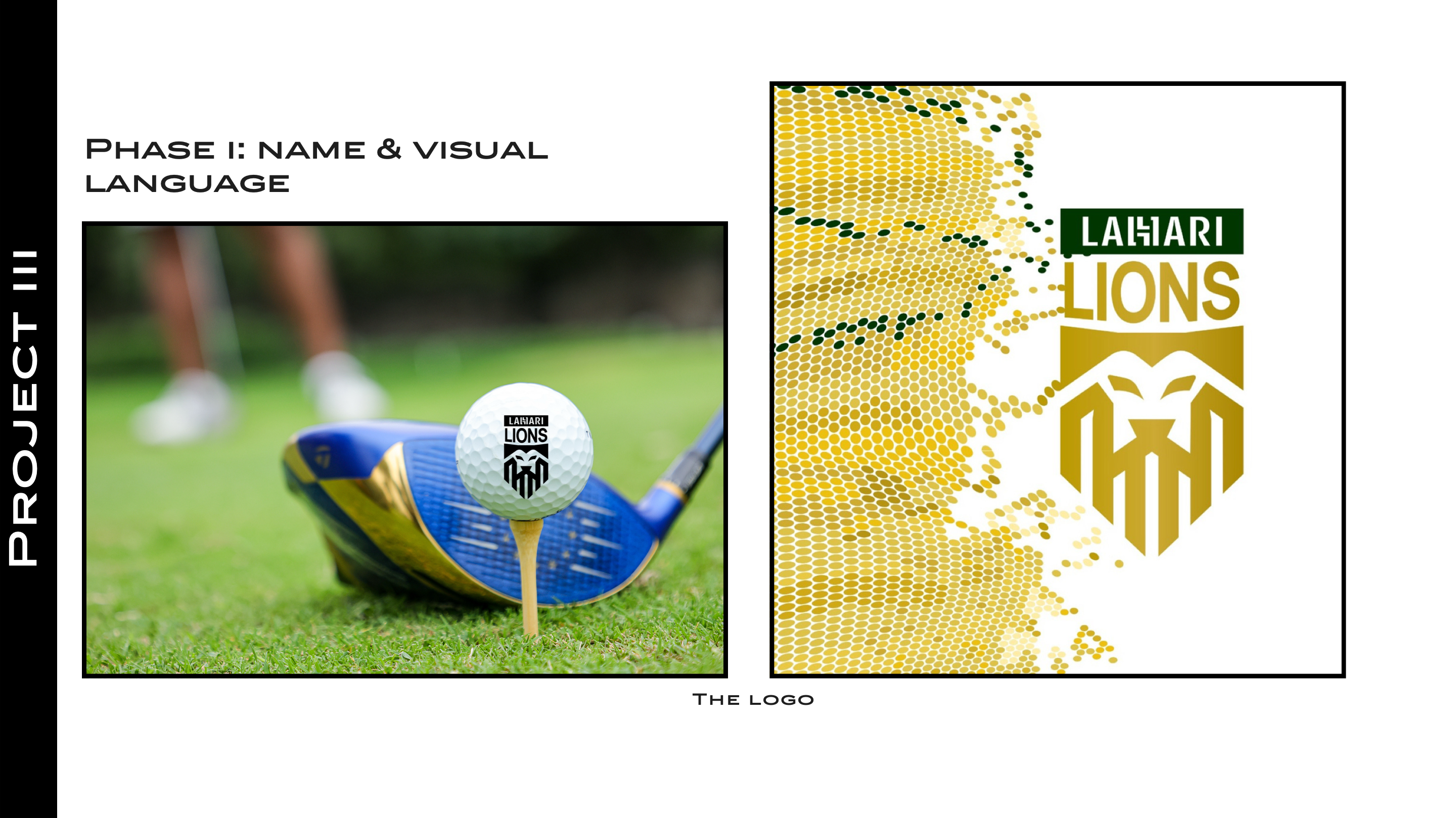 Lahari Lions Name and Logo Ratios
